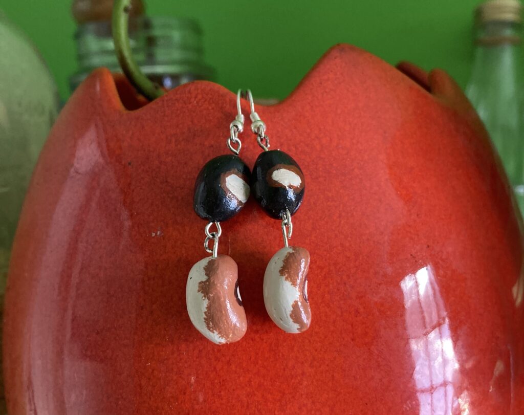 a photo of the bean earrings hanging from a red, plant pot. The black bean seed with a white dot encircled with a brown ring sits in top of a dangling butterscotch calypso bean (a half white, half brown bean with a white dot in the center)