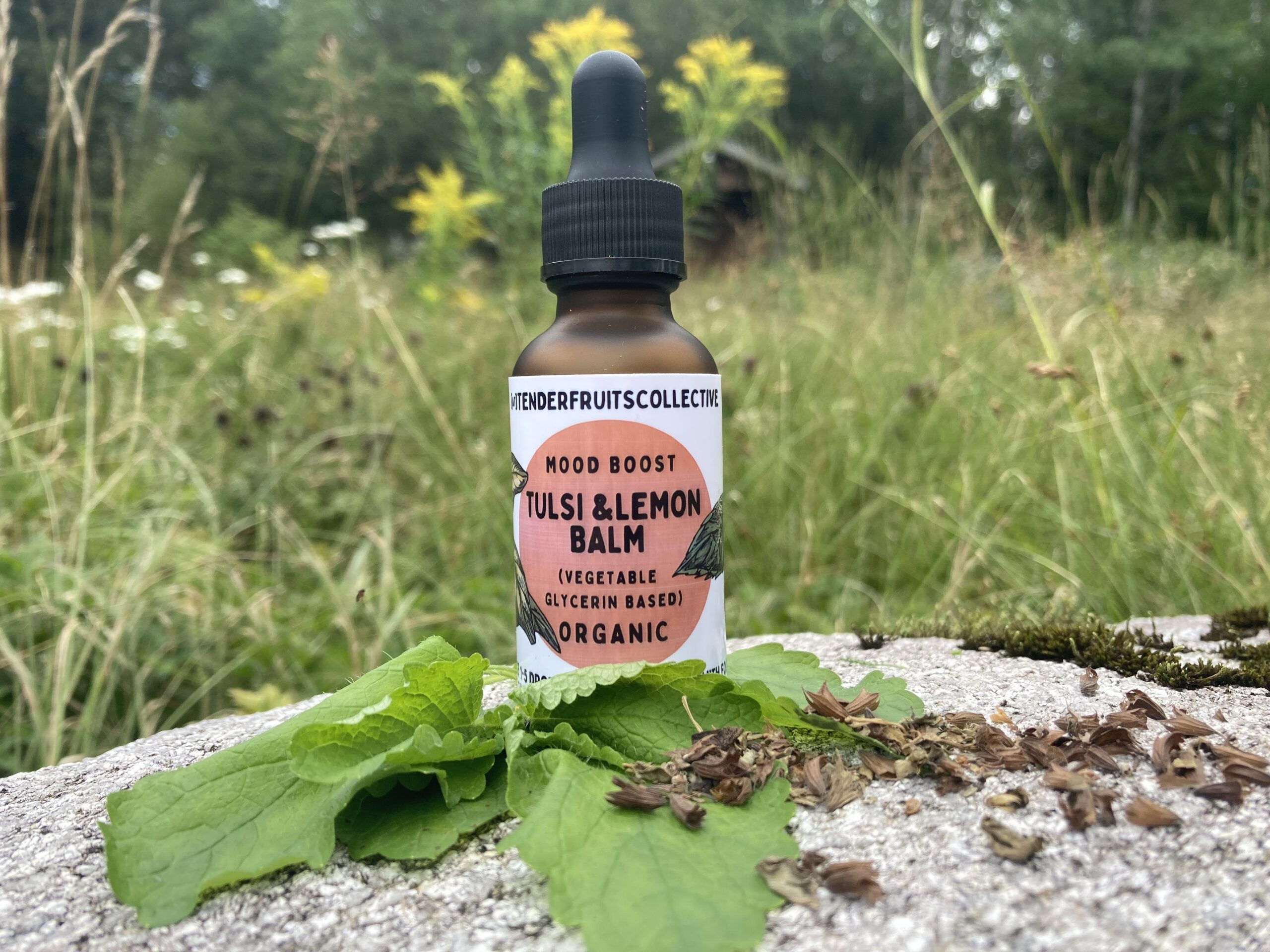 A photo of a 1 oz, amber colored tincture bottle dropper sitting on a mossy rock with fresh lemon balm and dried tulsi around it. There is tall grass in the background. The label on the bottle has a mustard yellow, circle label that says “tulsi and lemon balm” "mood boost", "vegetable glycerine based" "organic" and giving instructions to take 1-5 drops as when as needed to boost mood. 