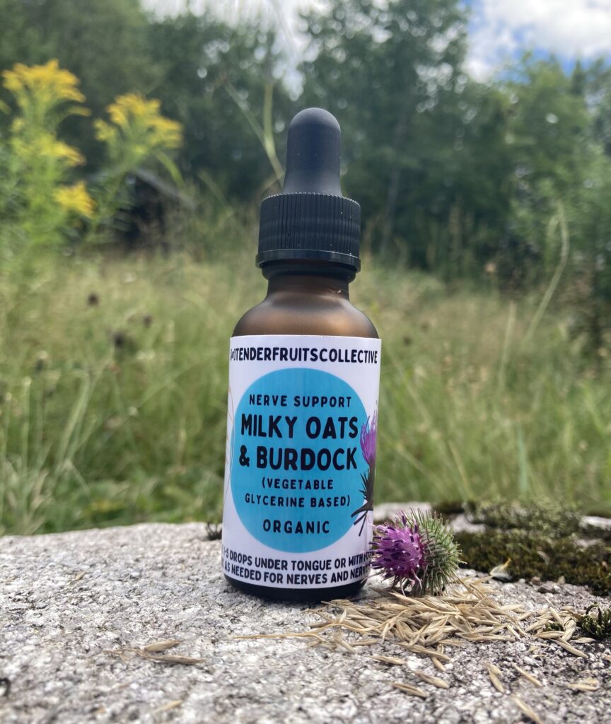 A photo of a 1 oz, amber colored tincture bottle dropper sitting on a mossy rock with a burdock flower and dried oat tops around it. There is tall grass in the background. The label on the bottle has a light blue, circle label that says “milky oats and burdock”, "nerve support", "vegetable glycerine based" "organic" and giving instructions to take 1-5 drops as need for nerves or nerve pain.